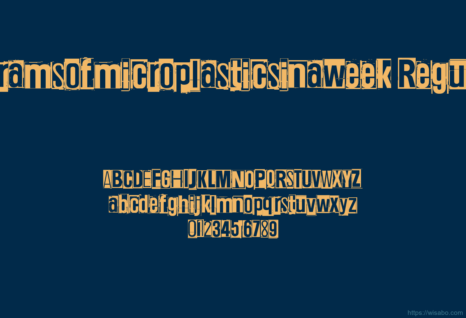 5gramsofmicroplasticsinaweek Regular