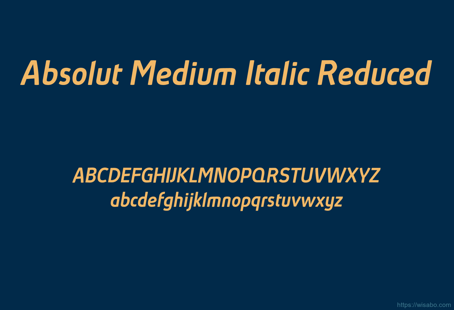 Absolut Medium Italic Reduced