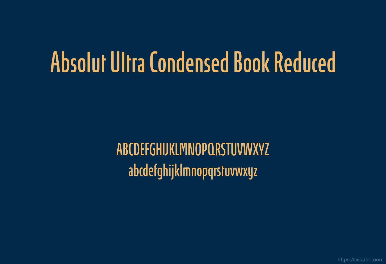 Absolut Ultra Condensed Book Reduced