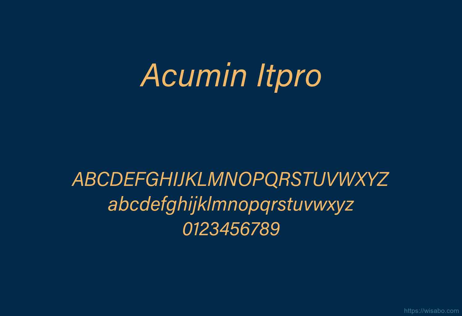 Acumin Itpro