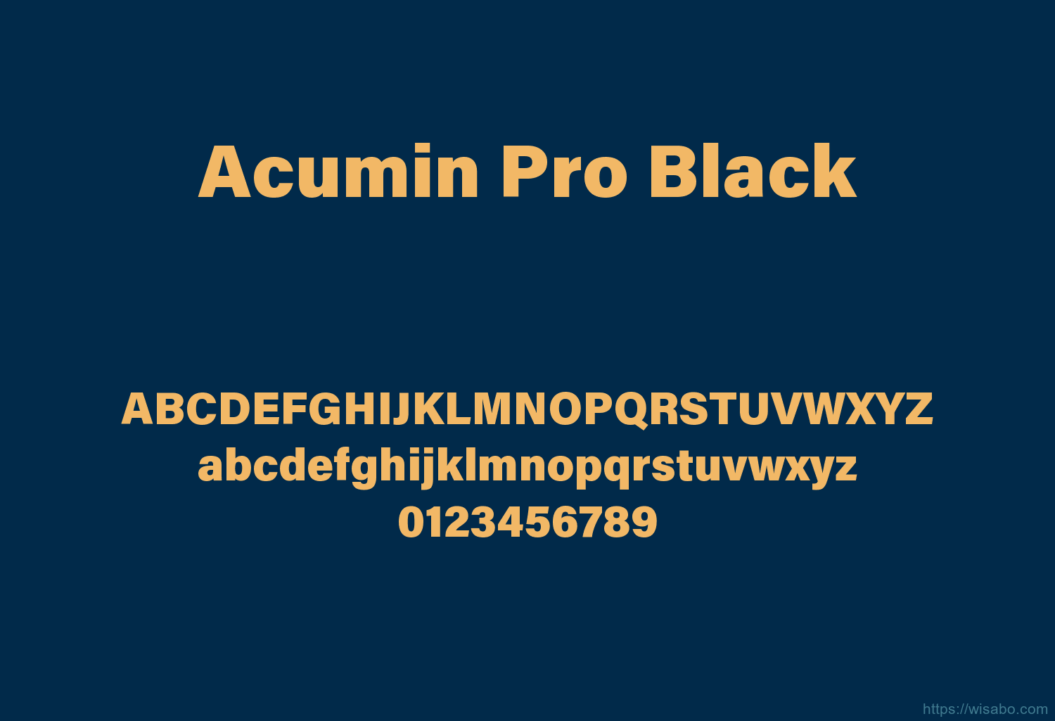 Acumin Pro Black