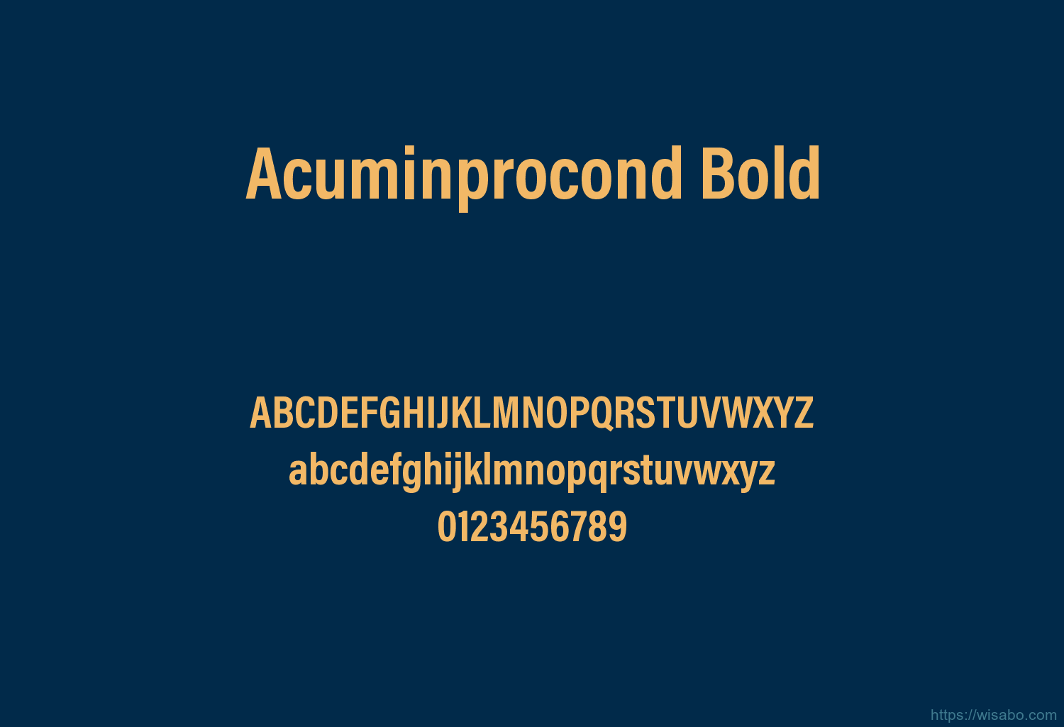 Acuminprocond Bold