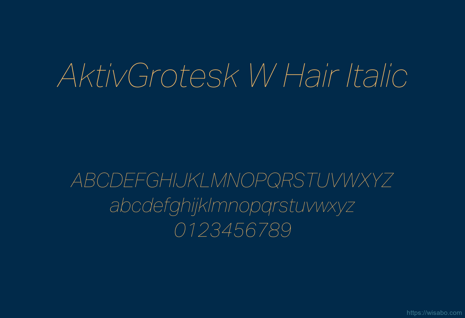 AktivGrotesk W Hair Italic