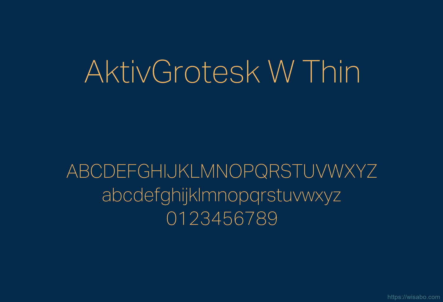 AktivGrotesk W Thin