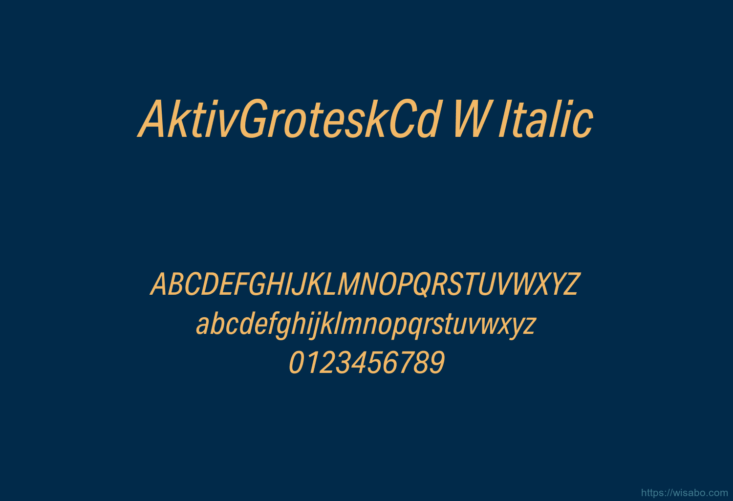 AktivGroteskCd W Italic