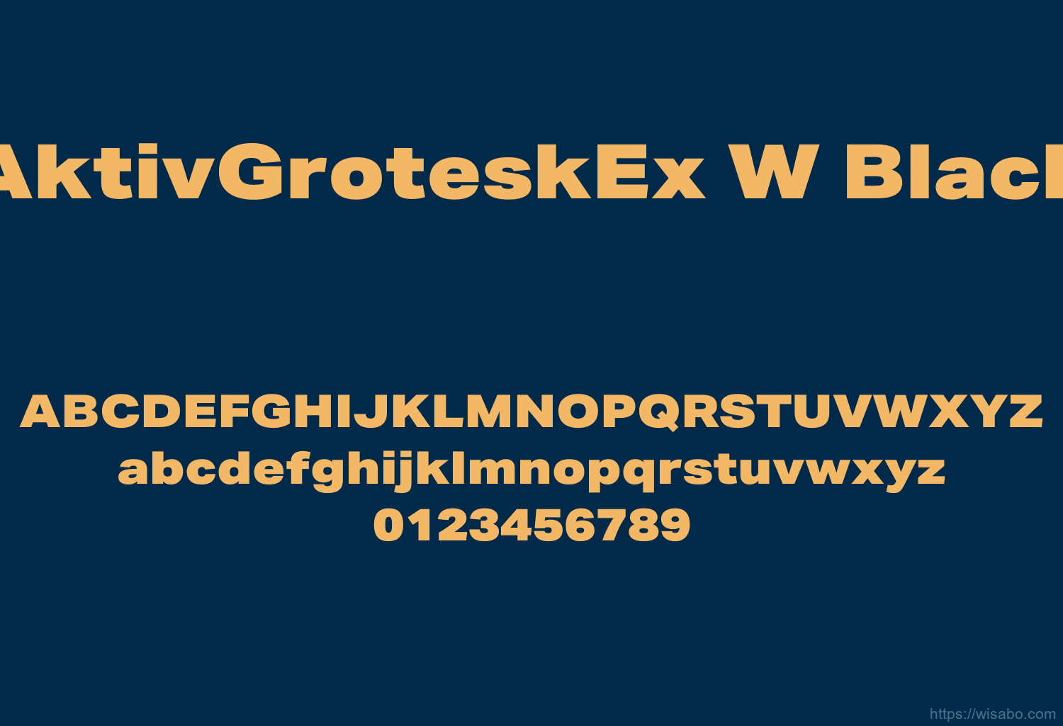 AktivGroteskEx W Black