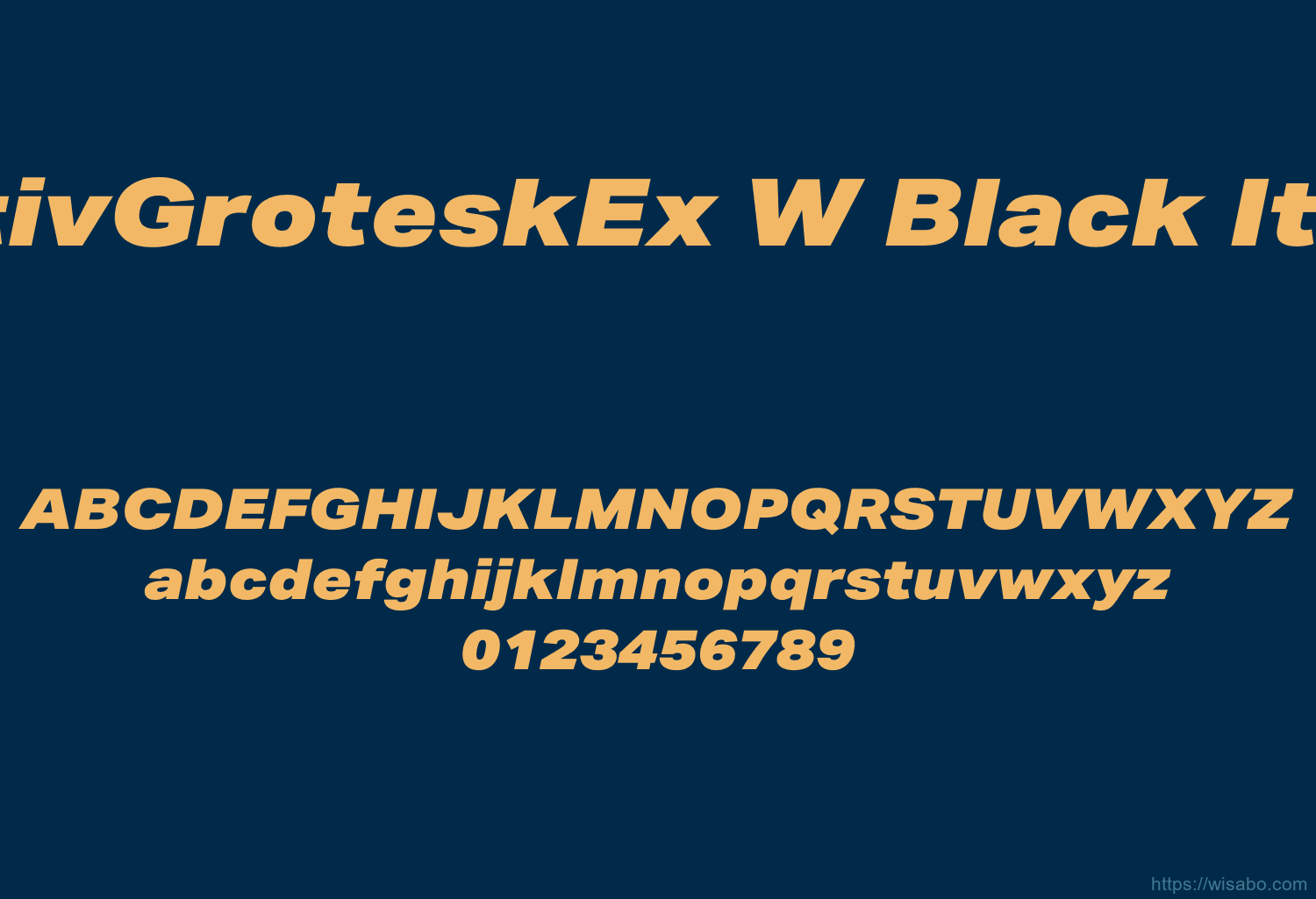 AktivGroteskEx W Black Italic