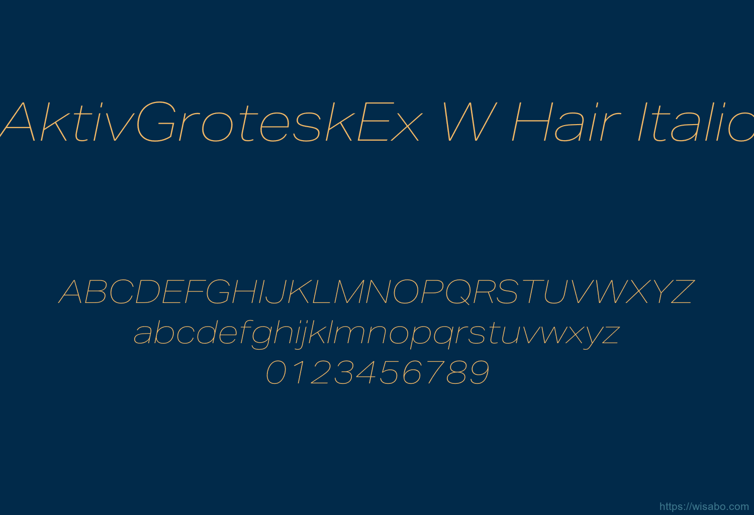 AktivGroteskEx W Hair Italic