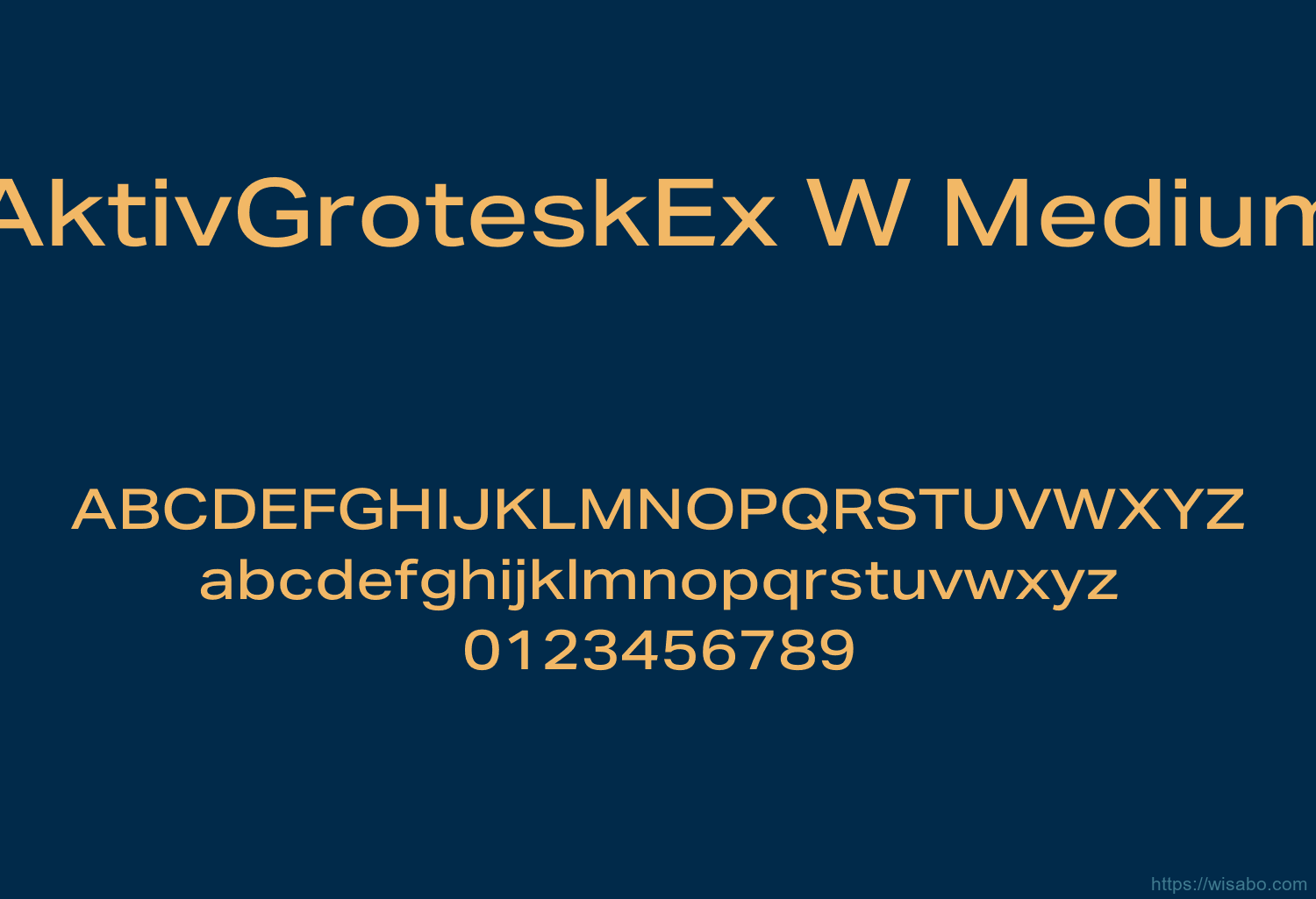 AktivGroteskEx W Medium