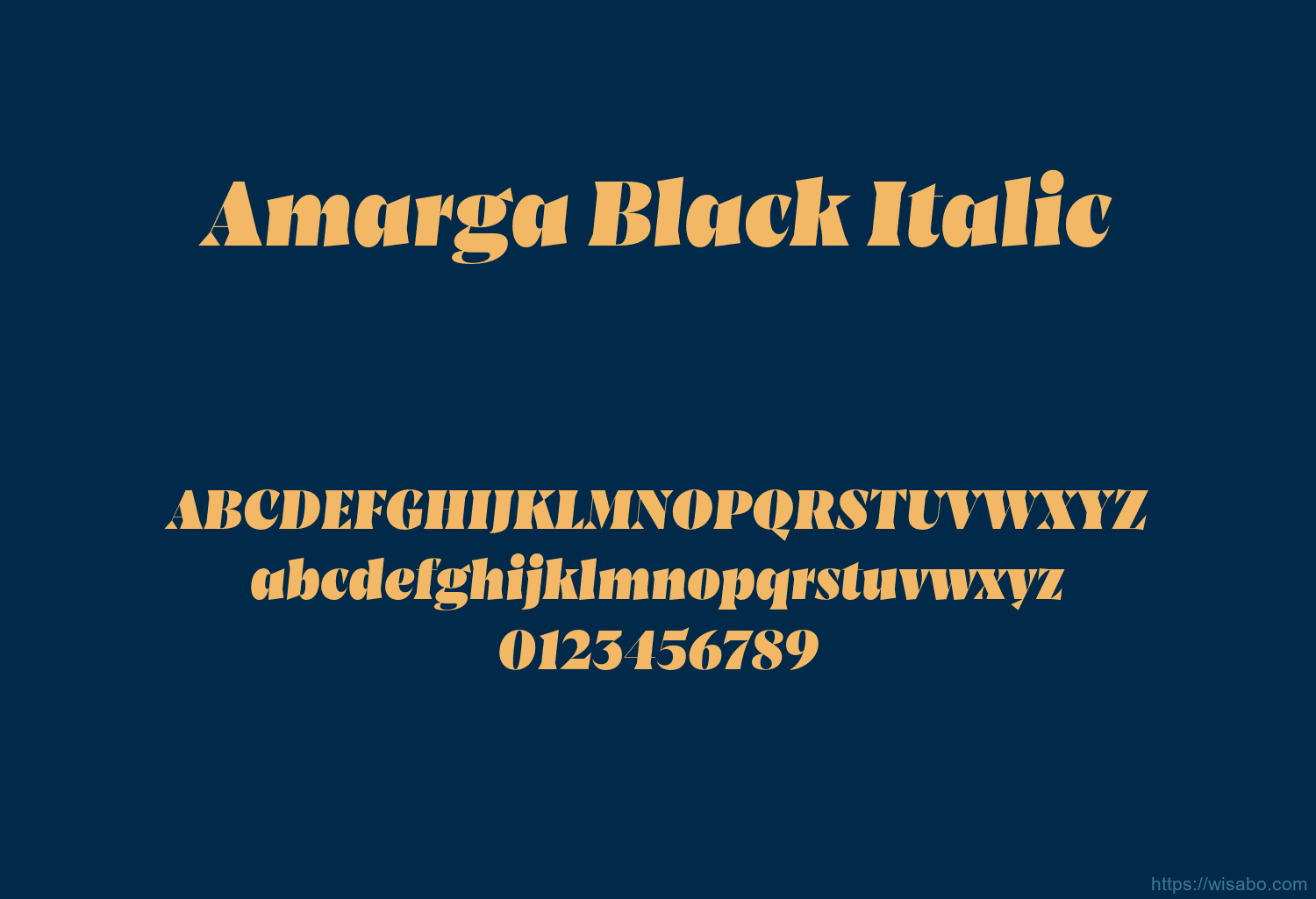 Amarga Black Italic