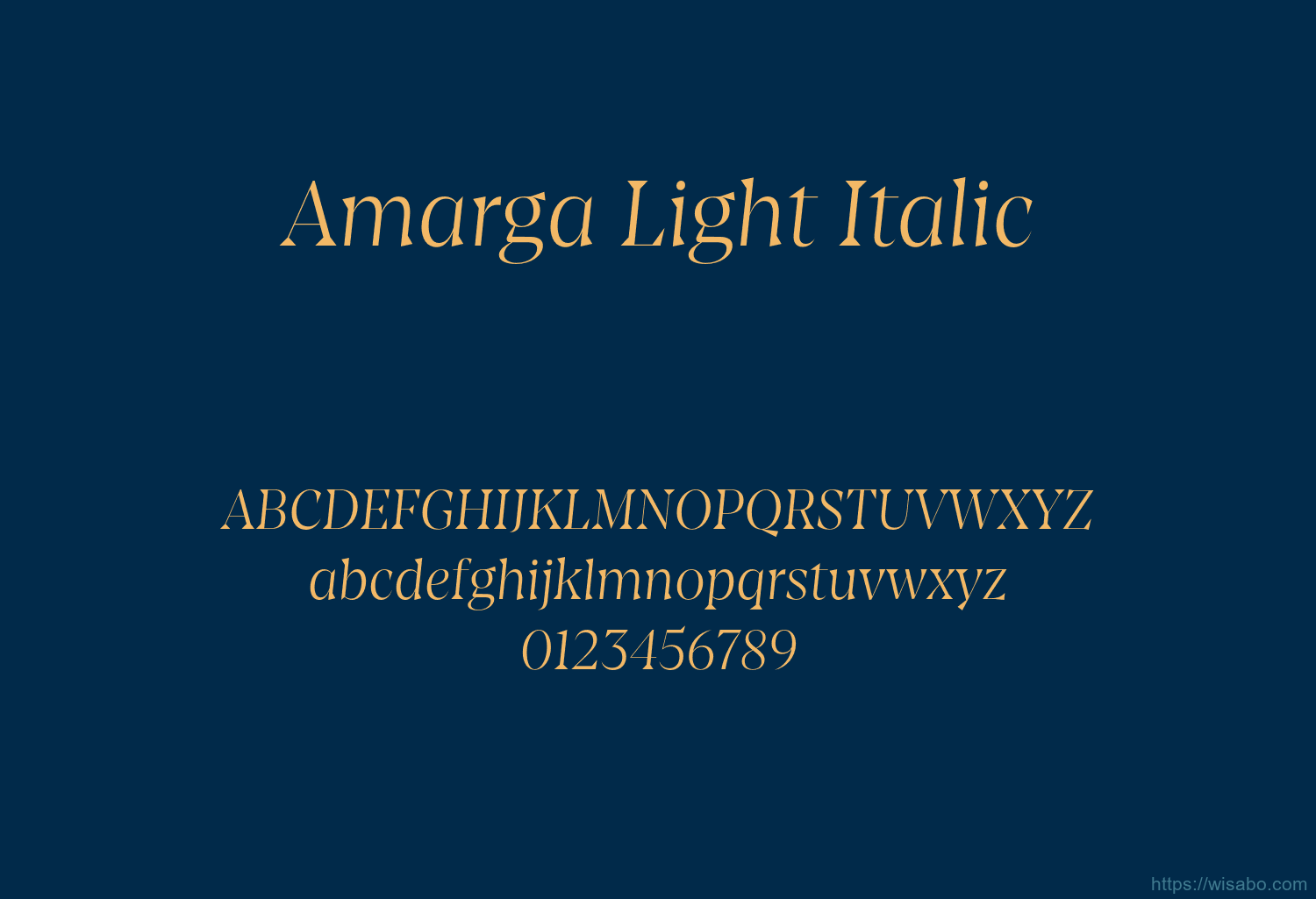 Amarga Light Italic