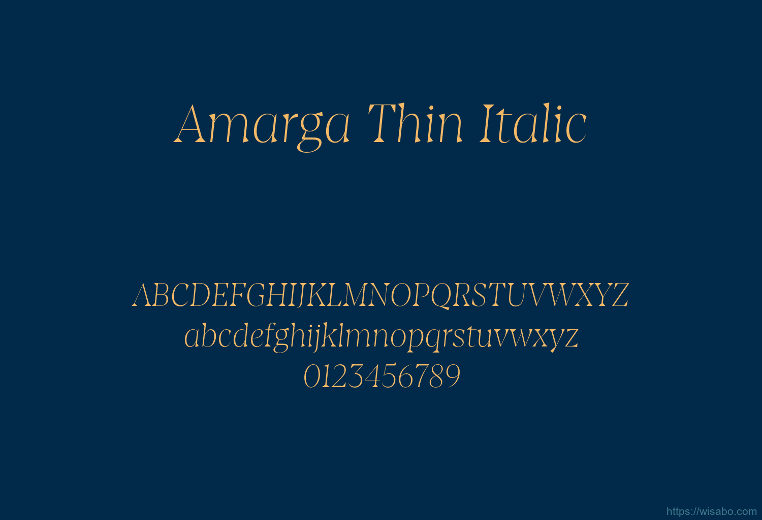 Amarga Thin Italic