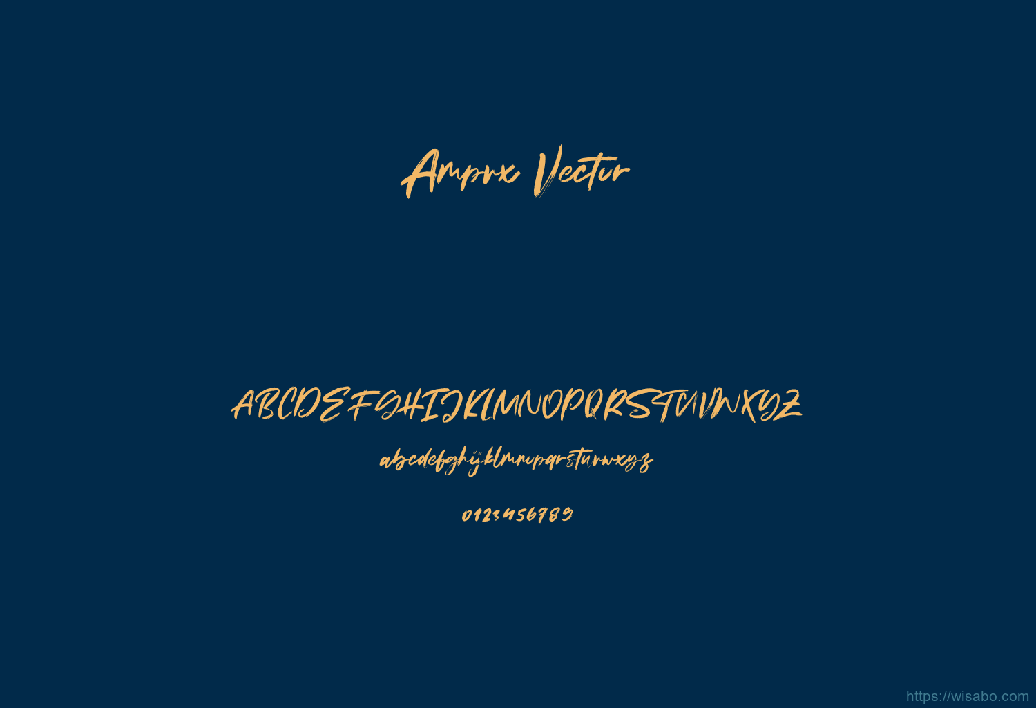Ampvx Vector