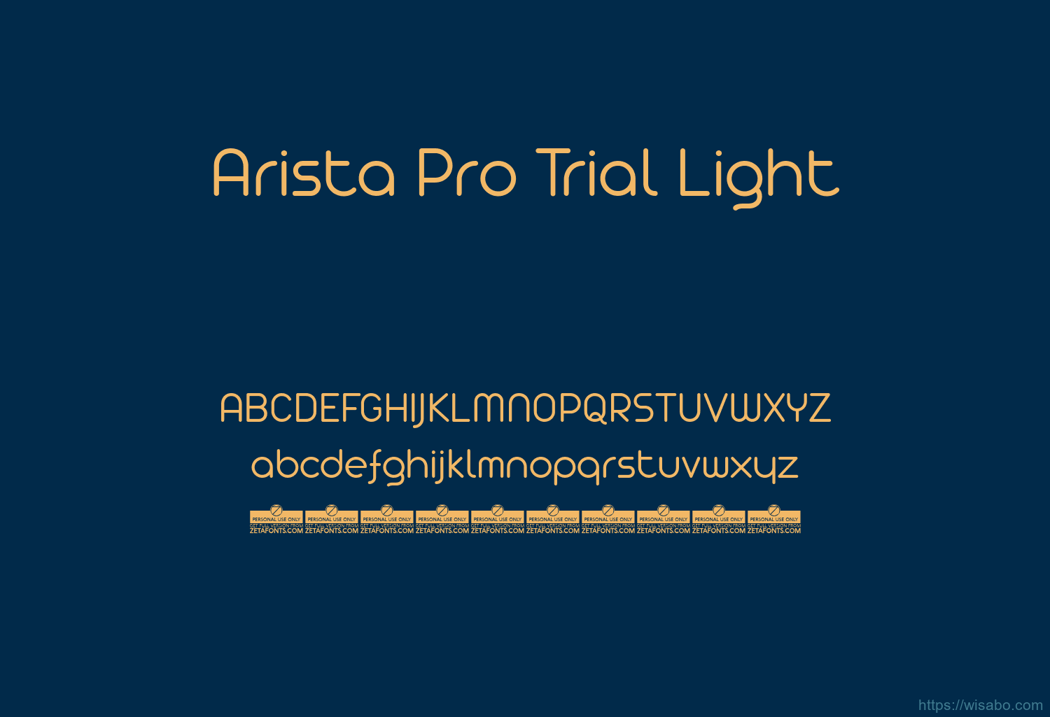 Arista Pro Trial Light Arista Pro Trial Light