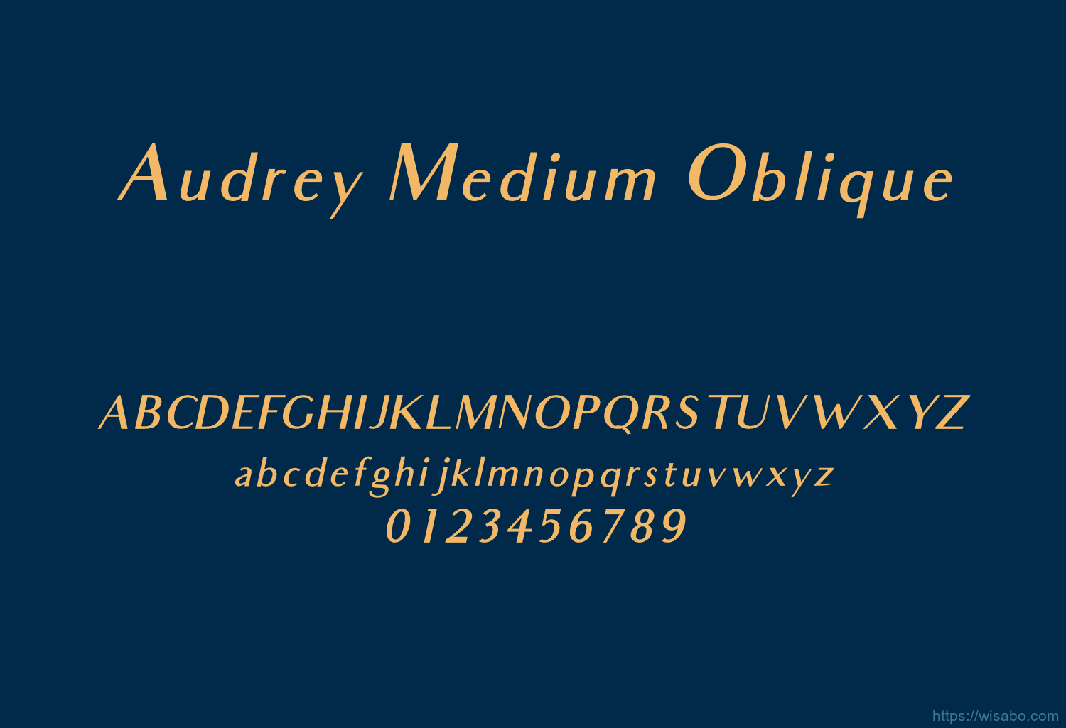 Audrey Medium Oblique Audrey Medium Oblique
