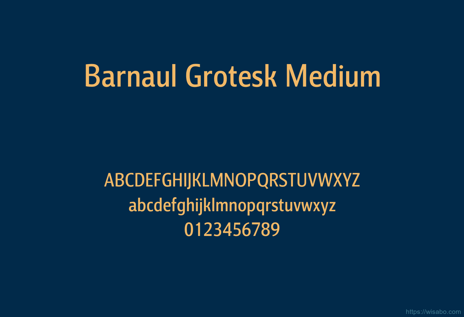 Barnaul Grotesk Medium