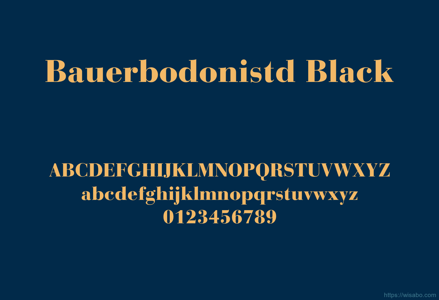 Bauerbodonistd Black