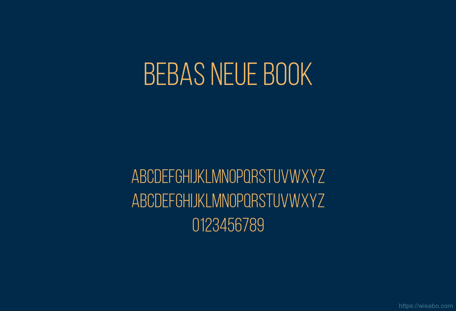 Bebas Neue Book
