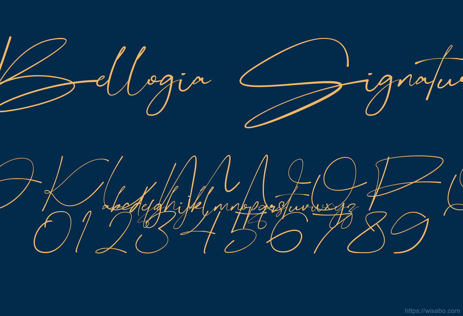 Bellogia Signature