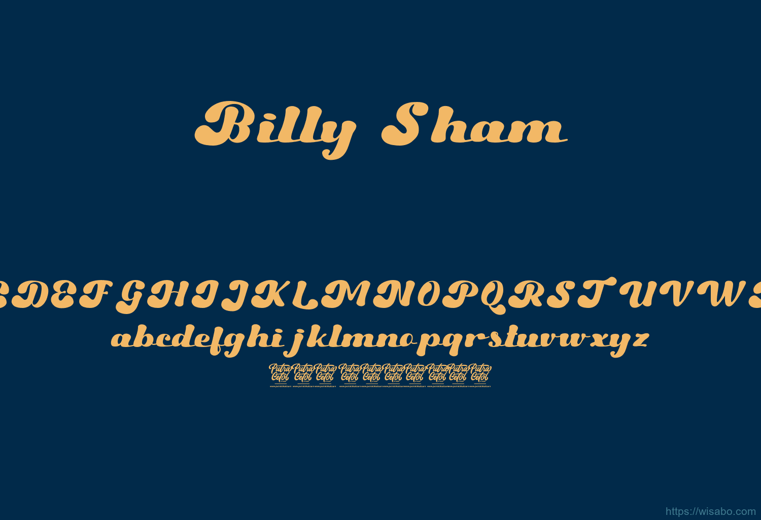 Billy Sham