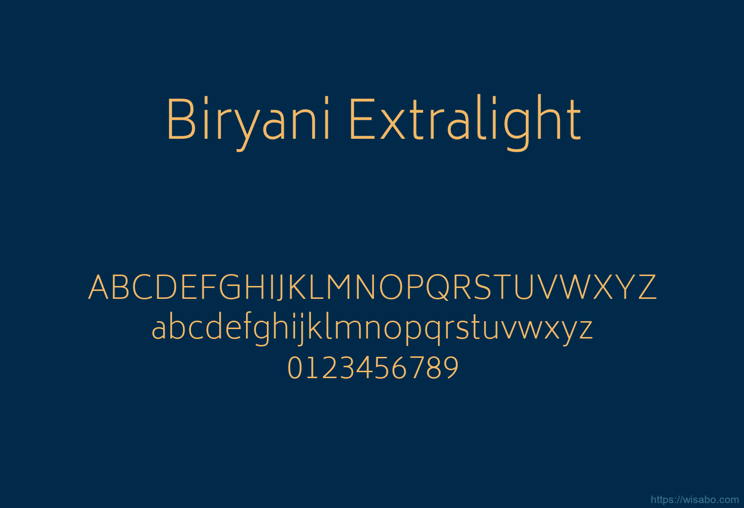 Biryani Extralight