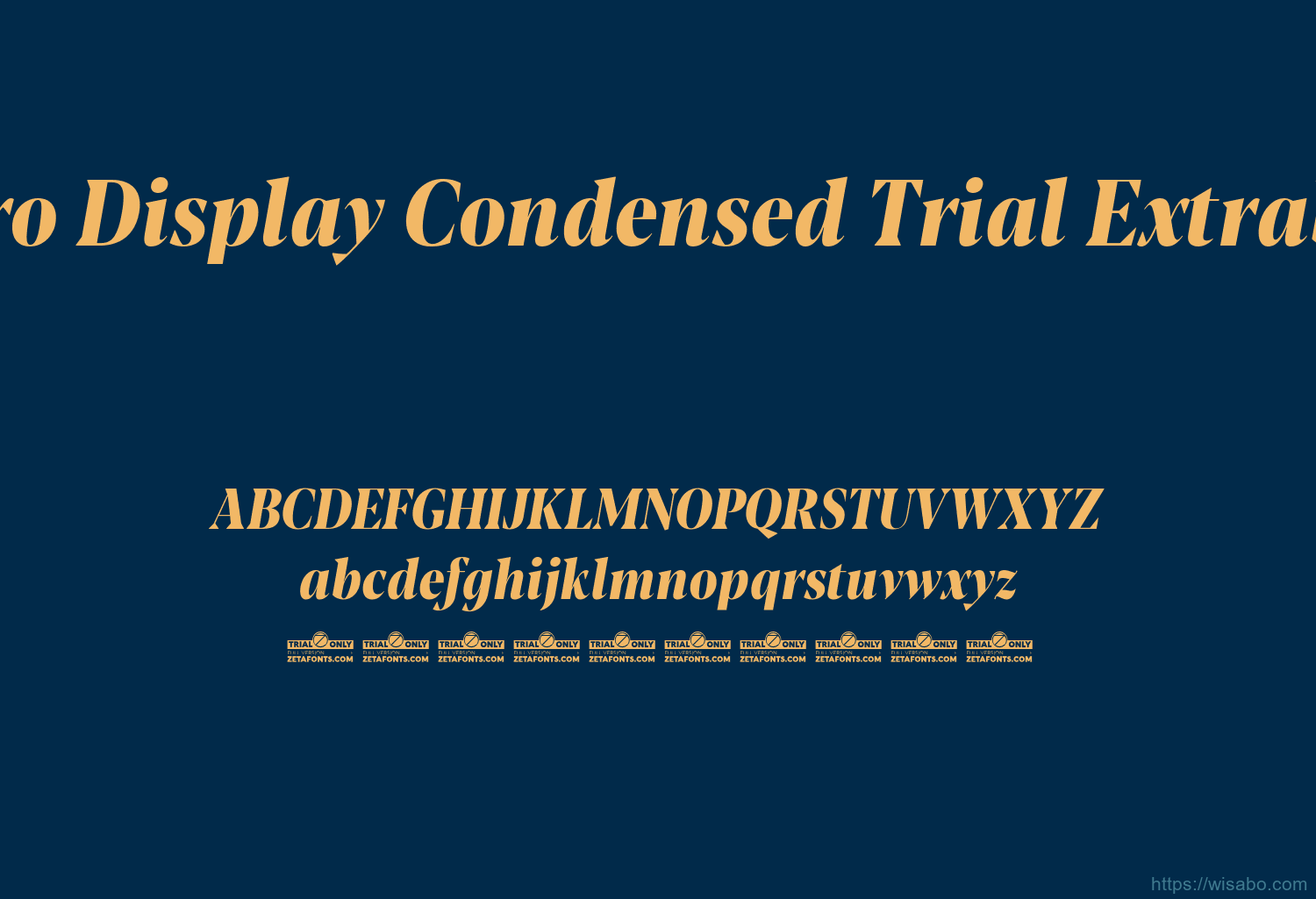 Blacker Pro Display Condensed Trial Extrabold Italic