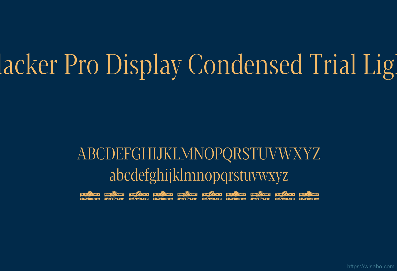 Blacker Pro Display Condensed Trial Light