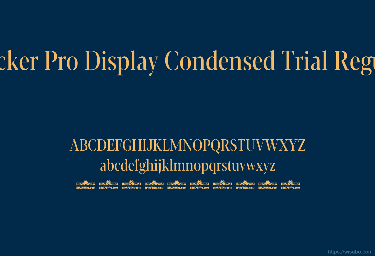 Blacker Pro Display Condensed Trial Regular