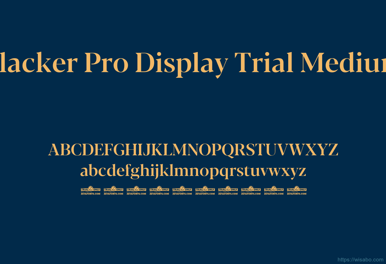 Blacker Pro Display Trial Medium