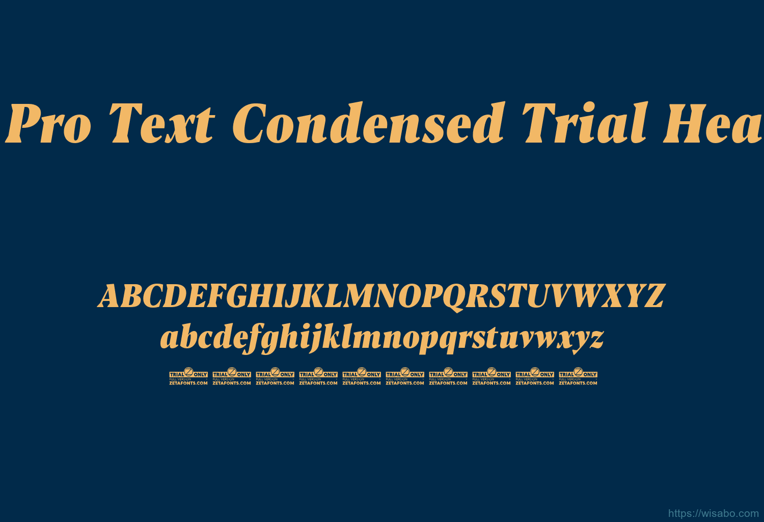 Blacker Pro Text Condensed Trial Heavy Italic