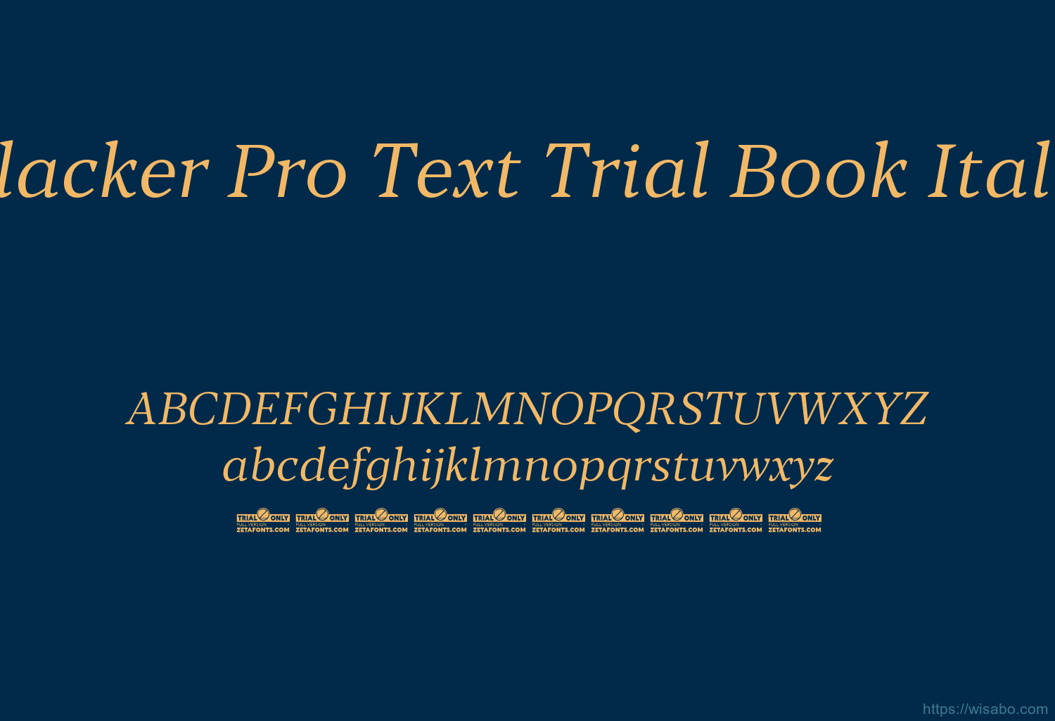 Blacker Pro Text Trial Book Italic