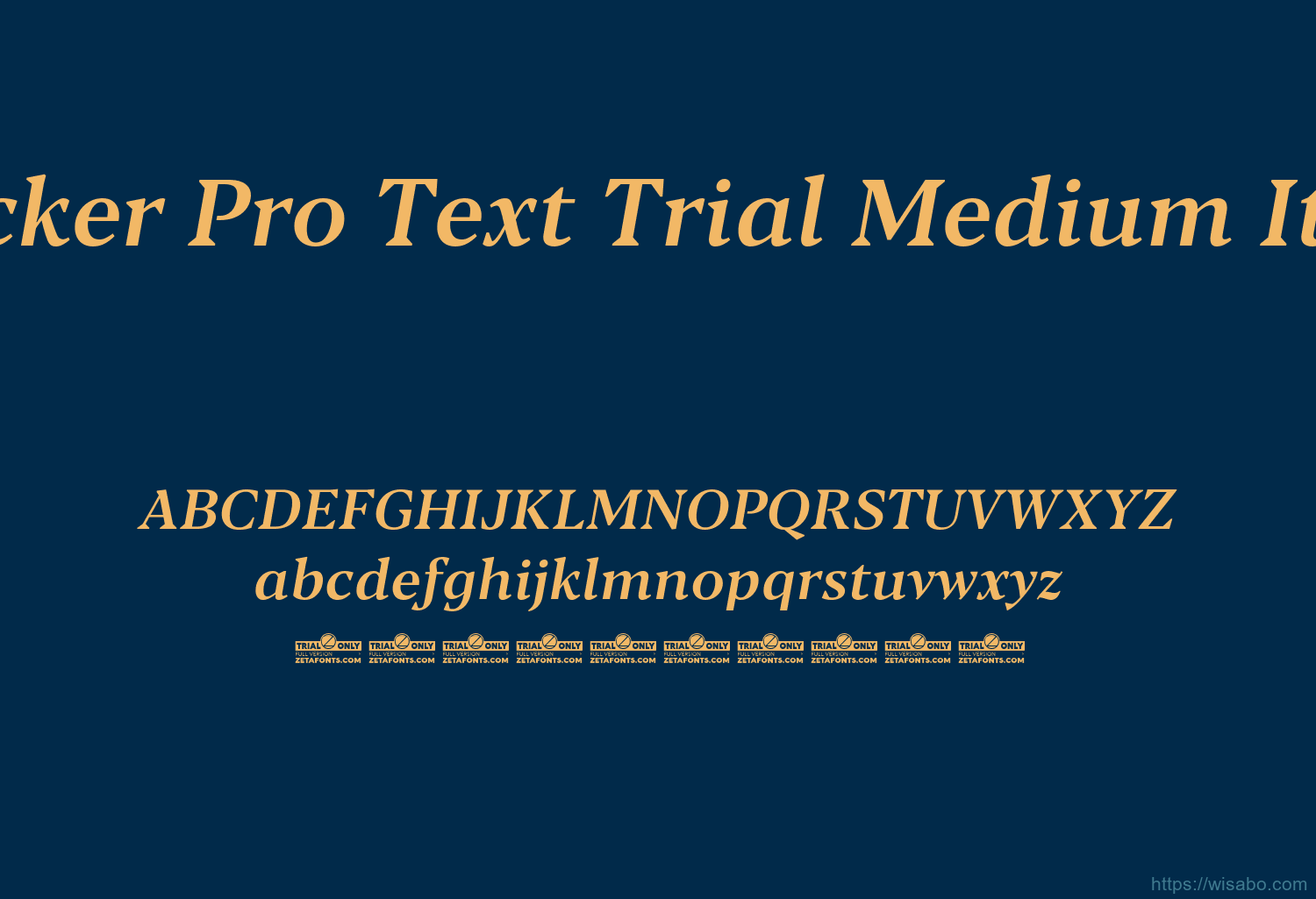 Blacker Pro Text Trial Medium Italic