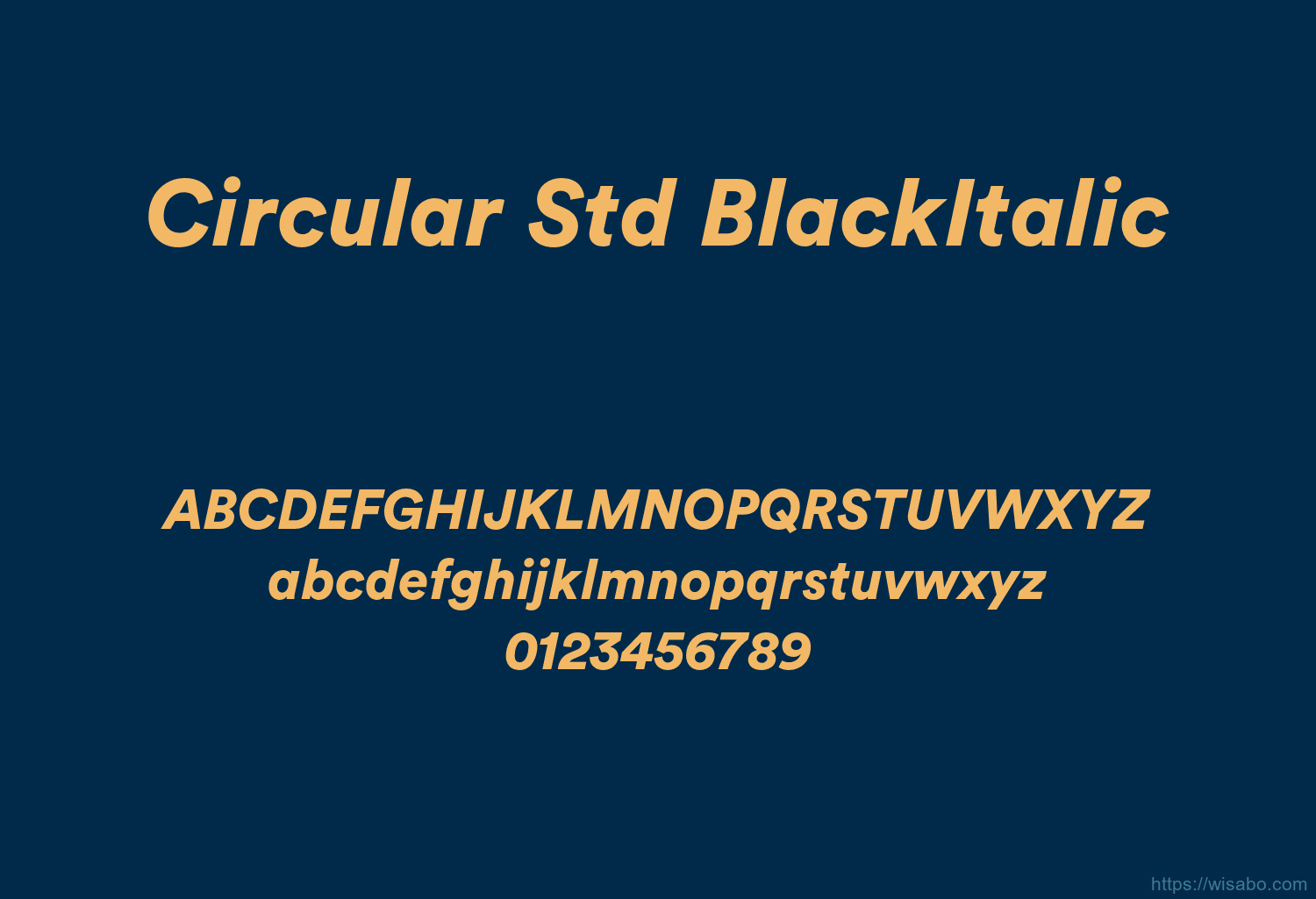 Circular Std BlackItalic Font Free Download [ttf - otf] | Wisabo Fonts