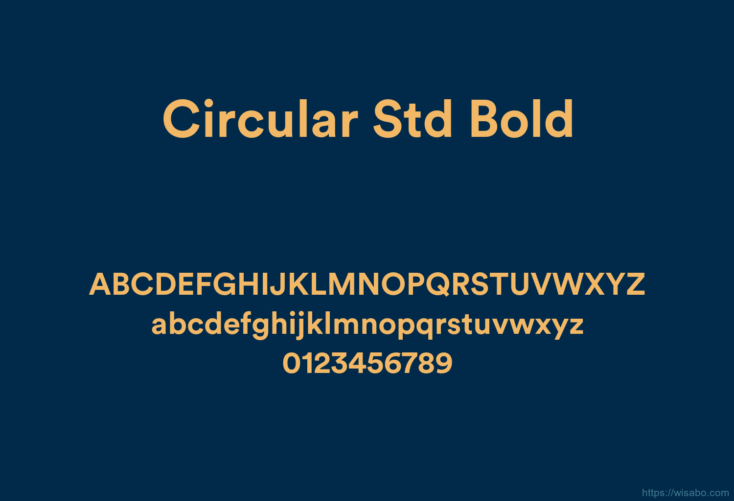 Circular Std Bold