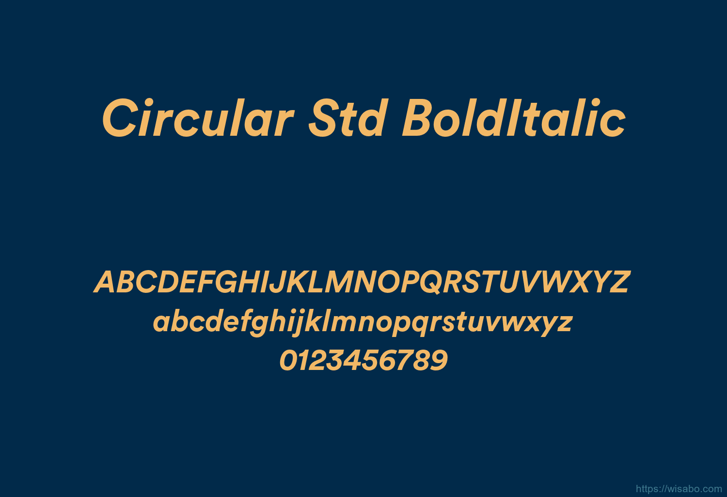 Circular Std BoldItalic Circular Std BoldItalic