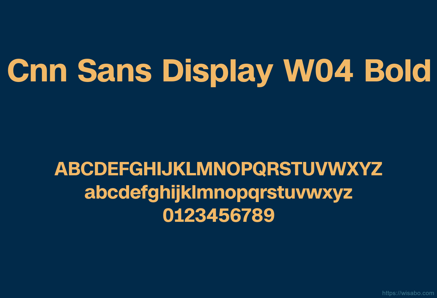 Cnn Sans Display W04 Bold