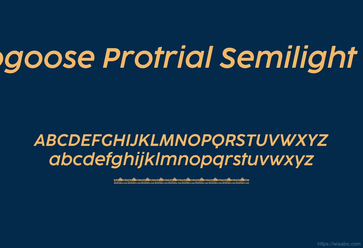 Cocogoose Protrial Semilight Italic