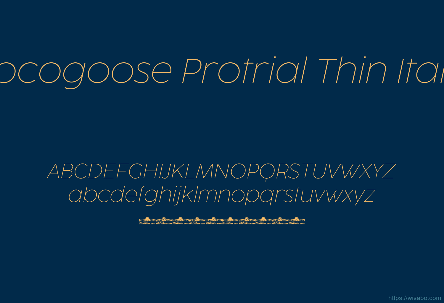 Cocogoose Protrial Thin Italic
