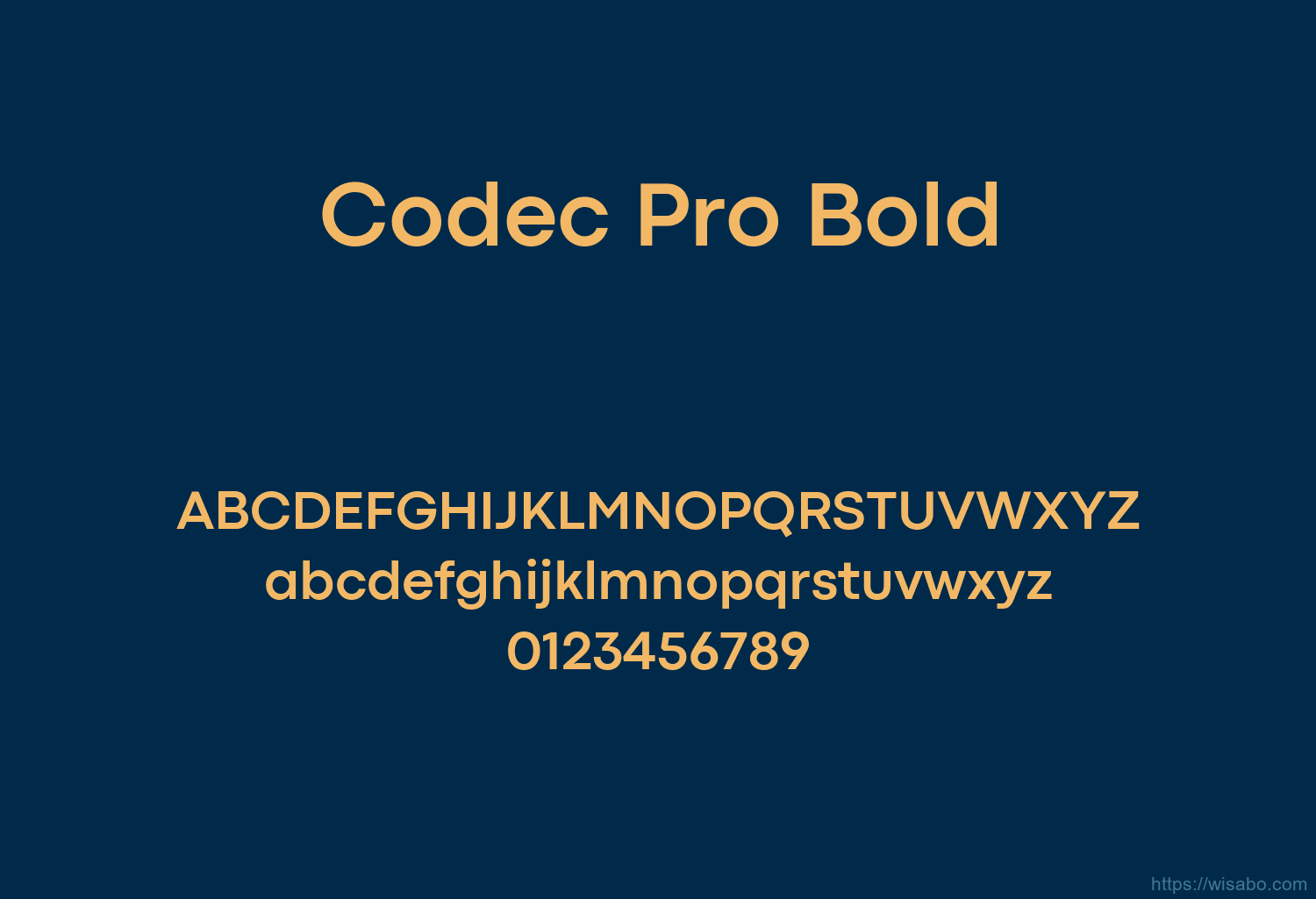 Codec Pro Bold
