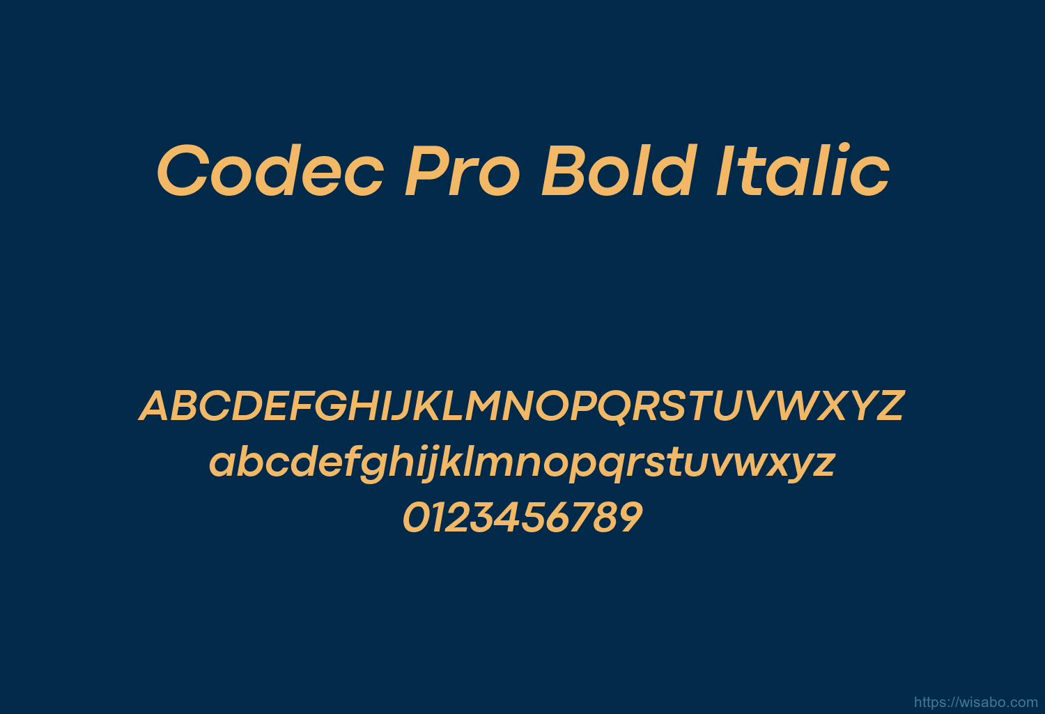 Codec Pro Bold Italic
