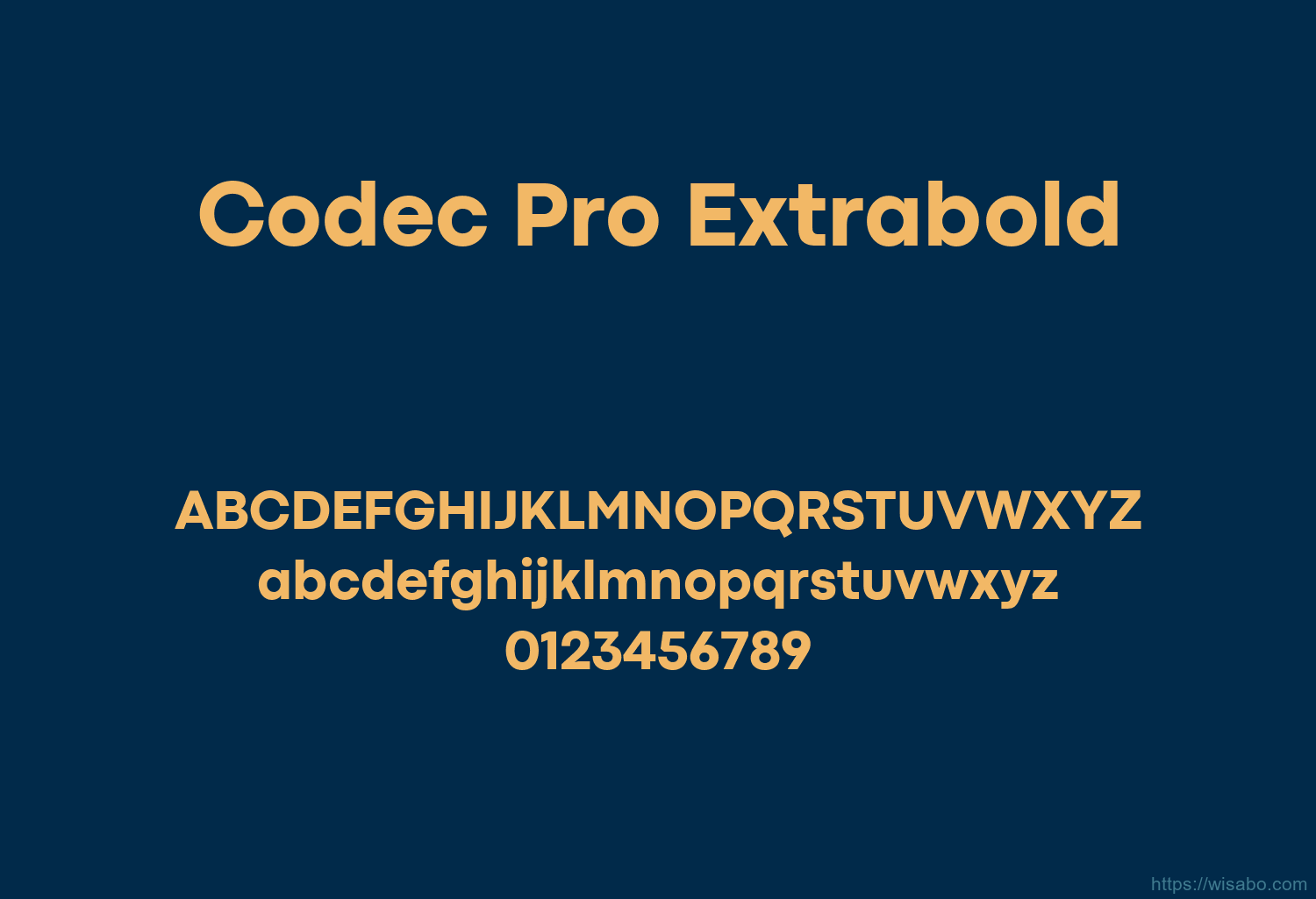 Codec Pro Extrabold