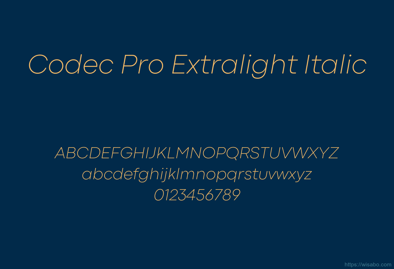 Codec Pro Extralight Italic
