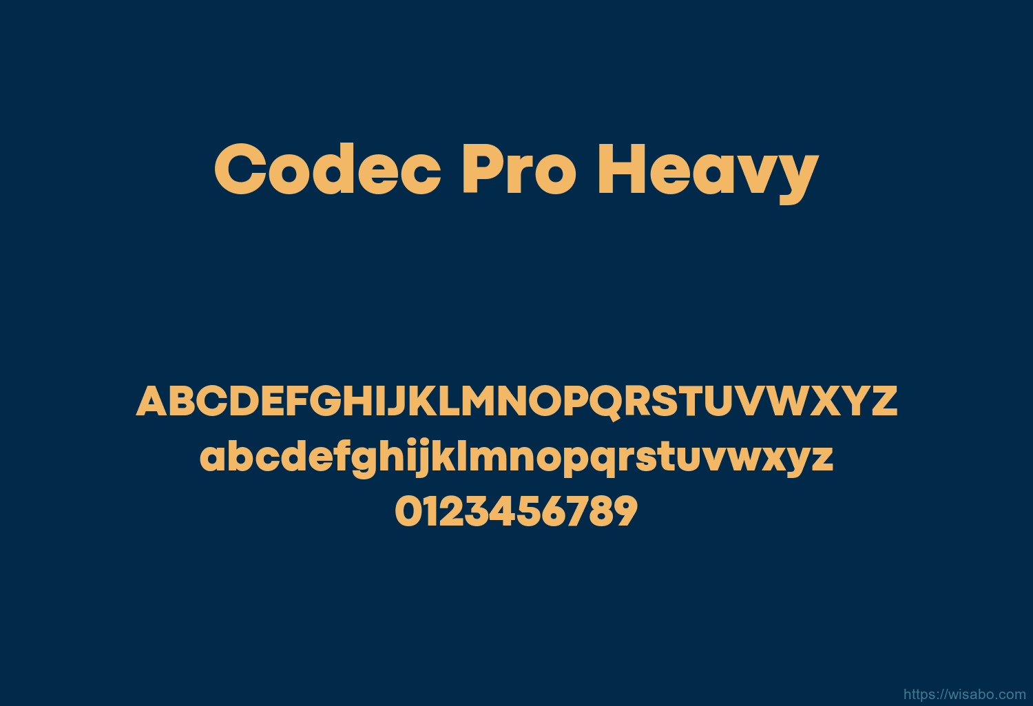Codec Pro Heavy