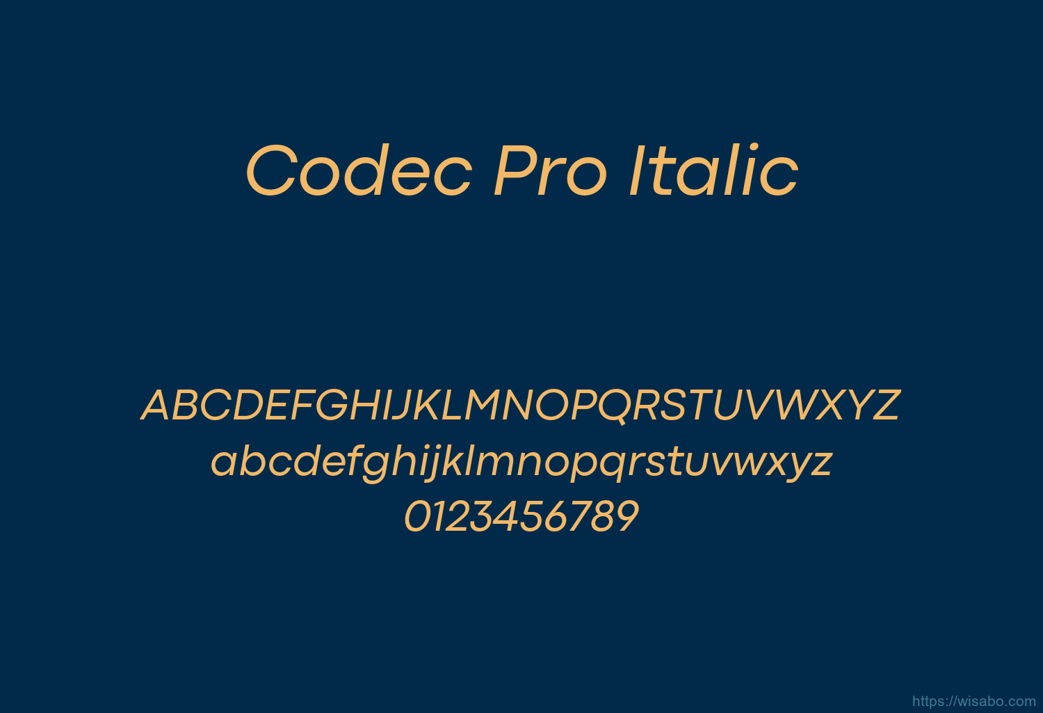 Codec Pro Italic
