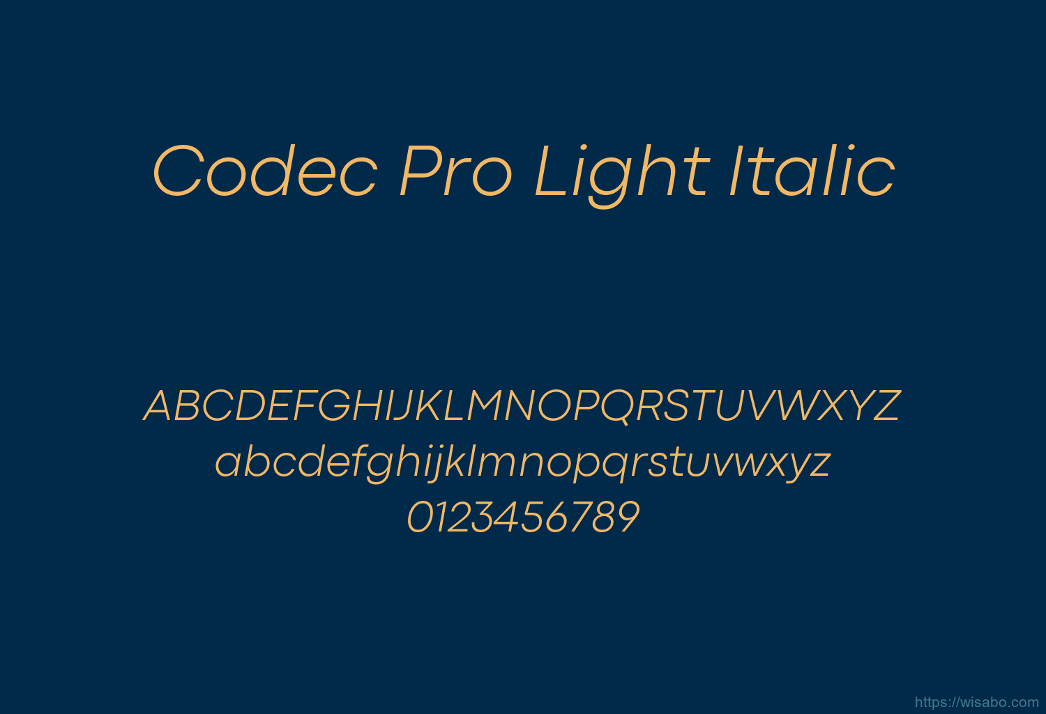 Codec Pro Light Italic
