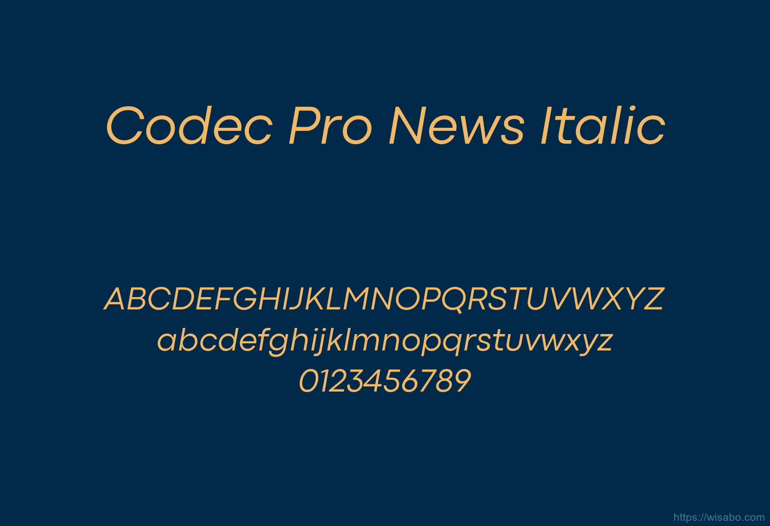 Codec Pro News Italic