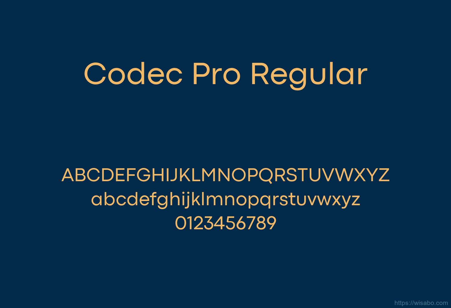 Codec Pro Regular