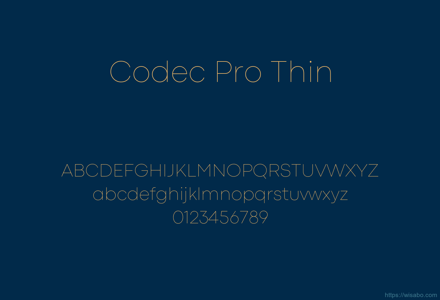Codec Pro Thin