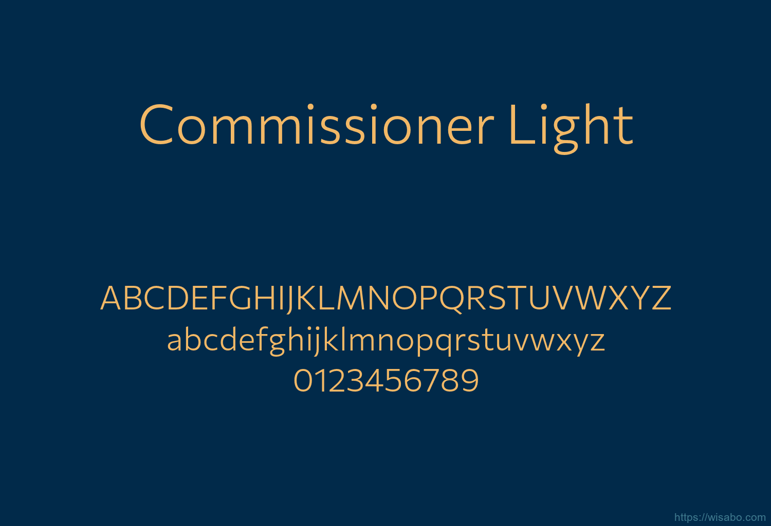 Commissioner Light