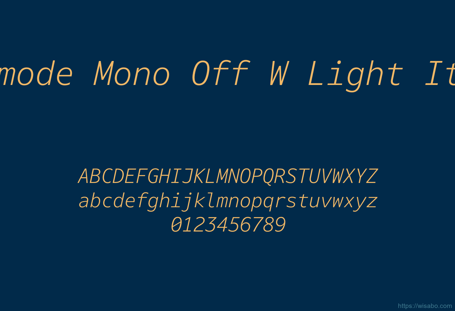 Darkmode Mono Off W Light Italic